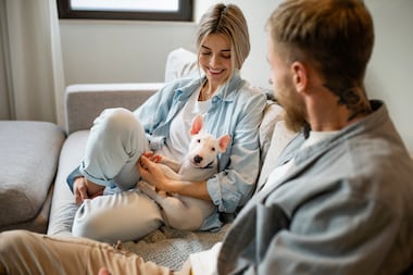 Assurance santé animale : un marché en croissance en Belgique